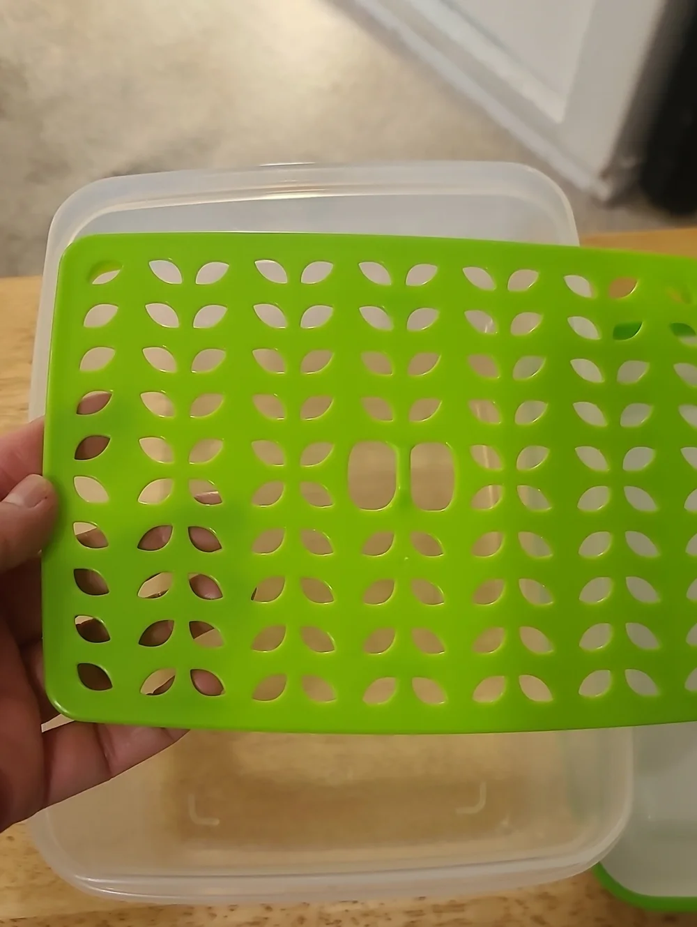 Airtight White and Green Food Storage Container with Drain Tray